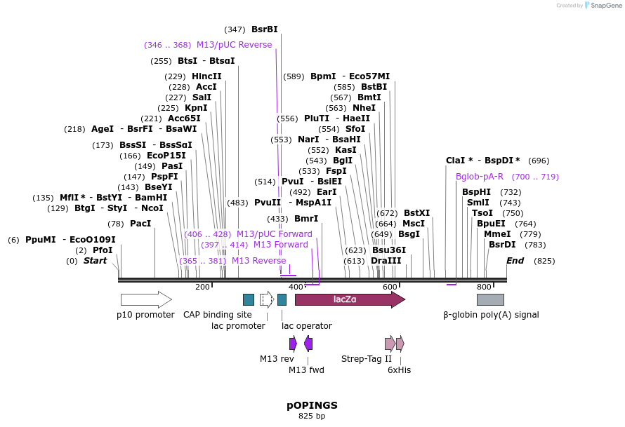 61237_map