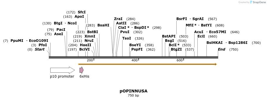 61247_map