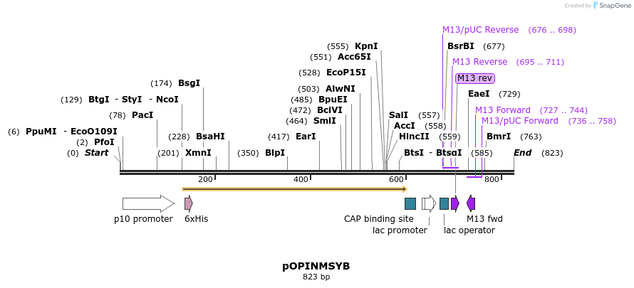 61248_map