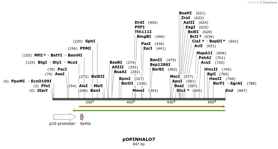 61250_map