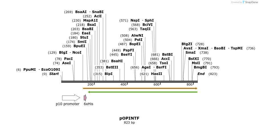 61257_map