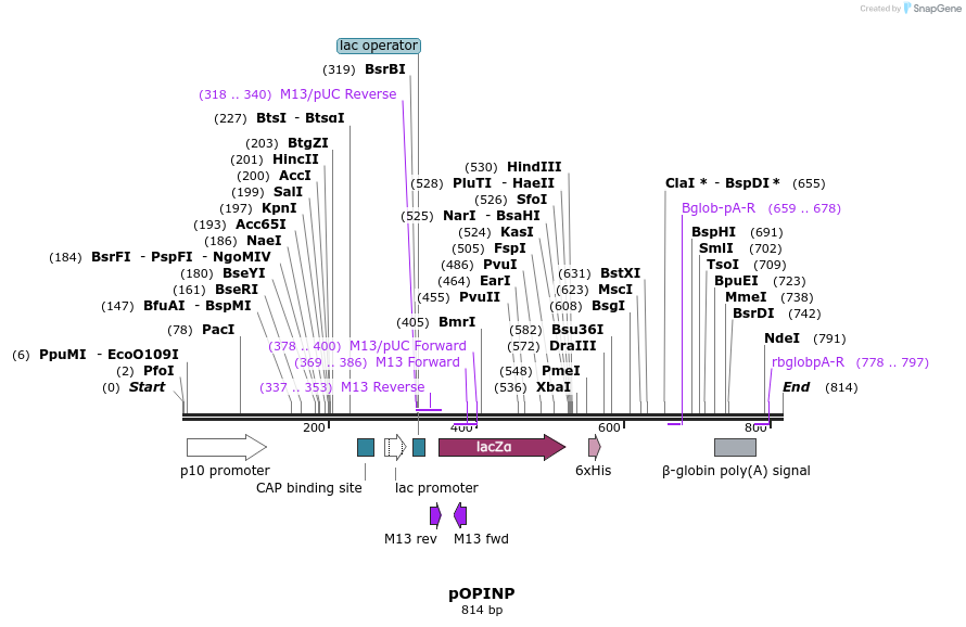 61259_map