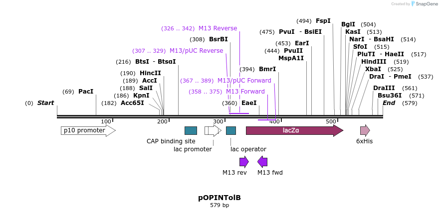 61260_map
