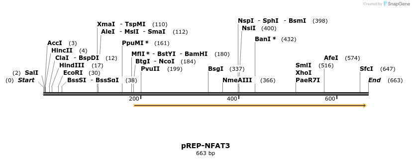 61273_map