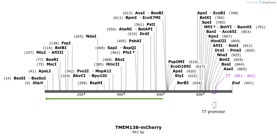61278_map