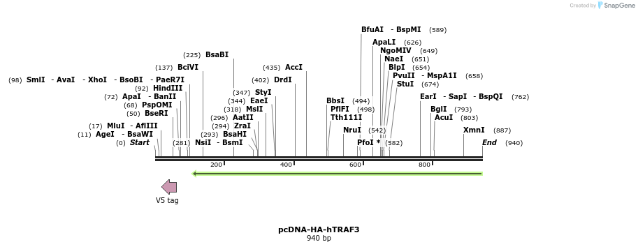61280_map