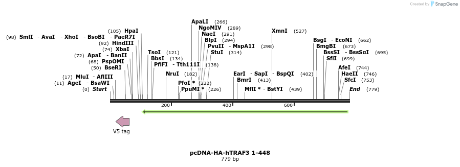 61281_map