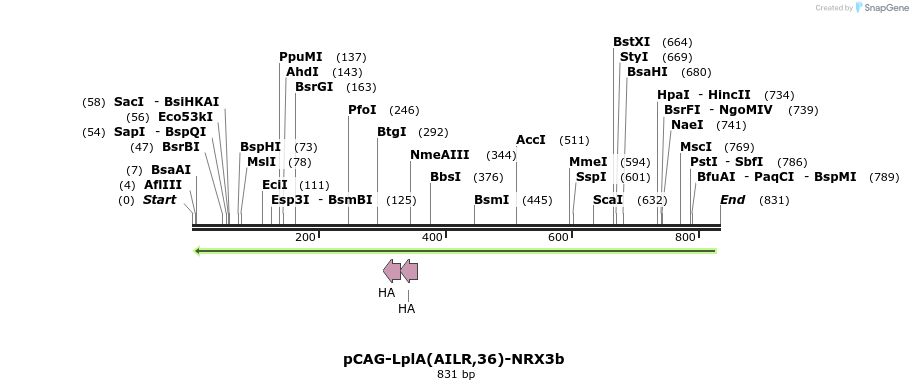 61285_map
