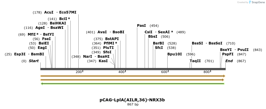 61286_map