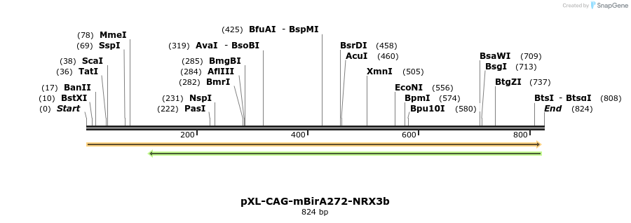 61293_map