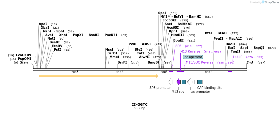 61296_map