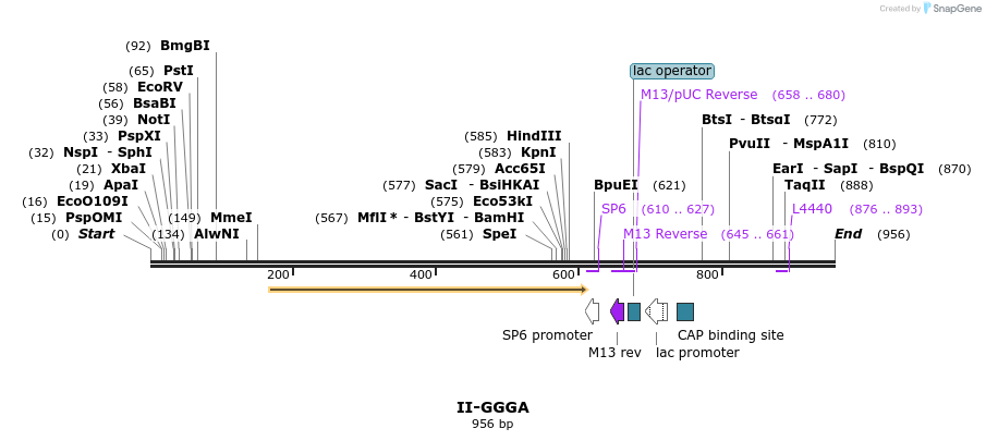 61301_map