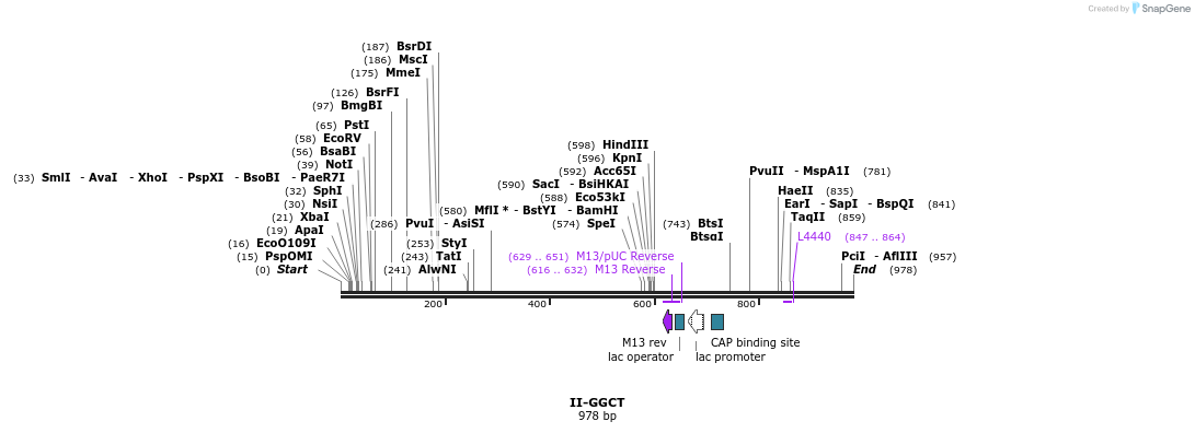 61302_map