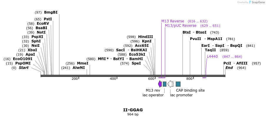 61307_map