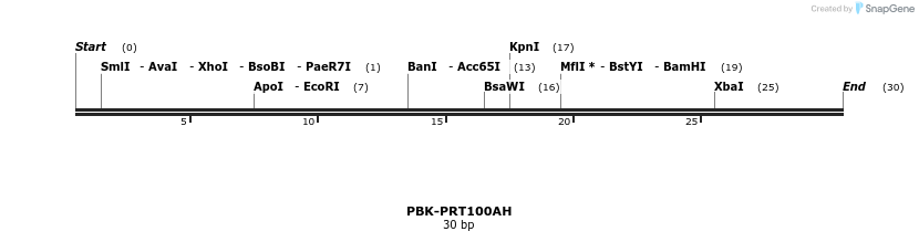 61313_map