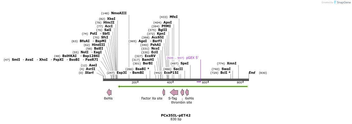 61315_map