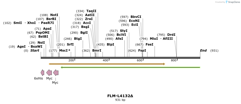 61316_map