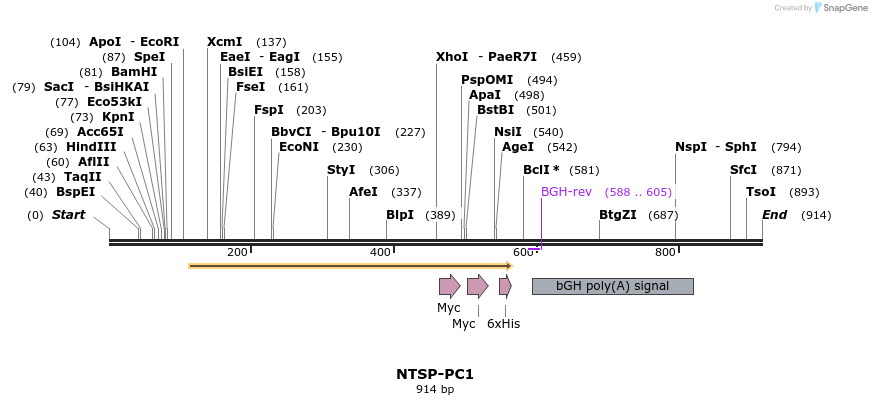 61320_map