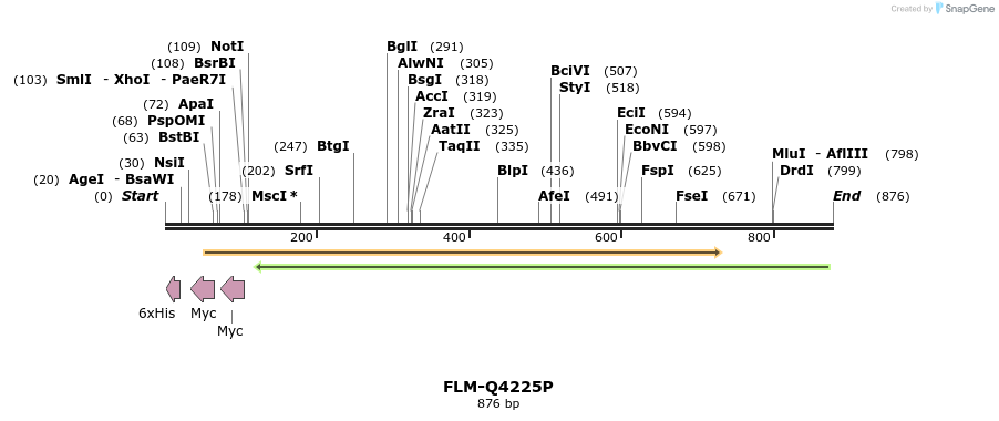 61329_map