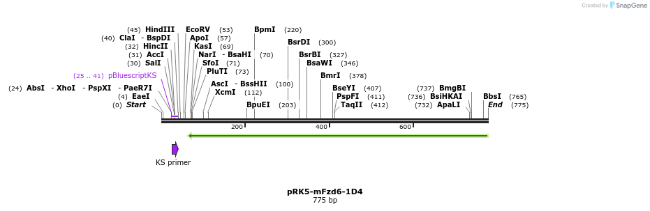 61331_map