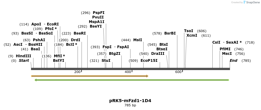 61333_map