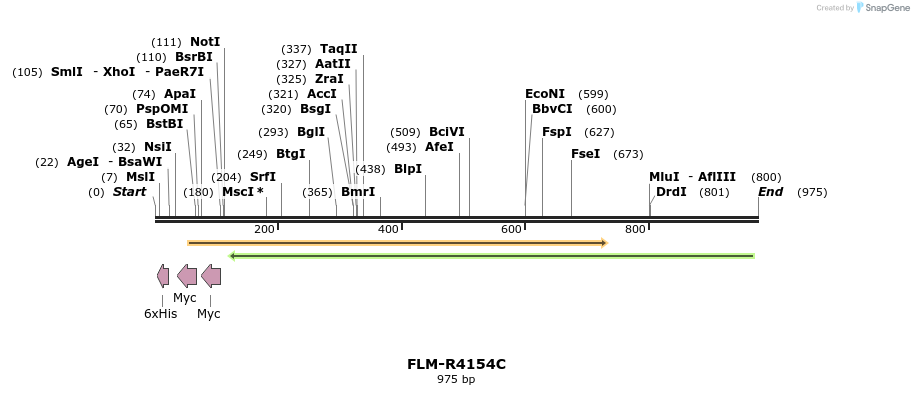 61338_map