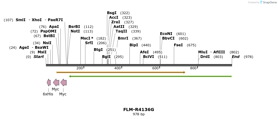 61339_map