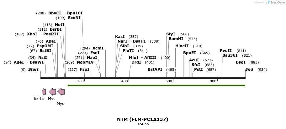 61340_map