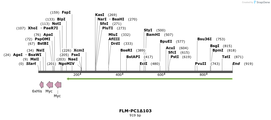 61341_map