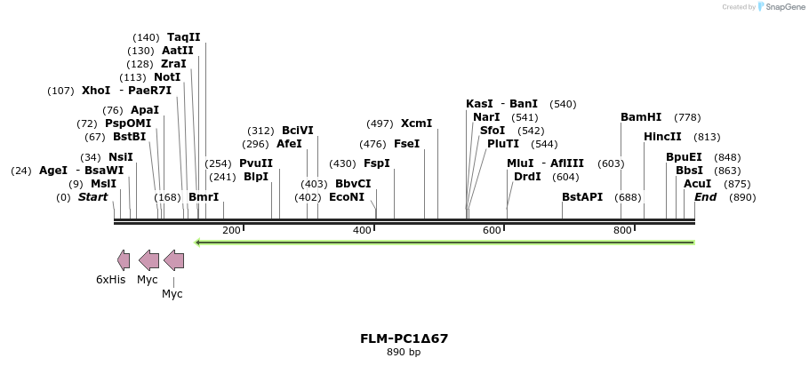 61342_map