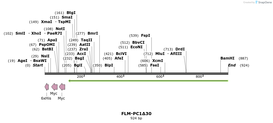 61344_map