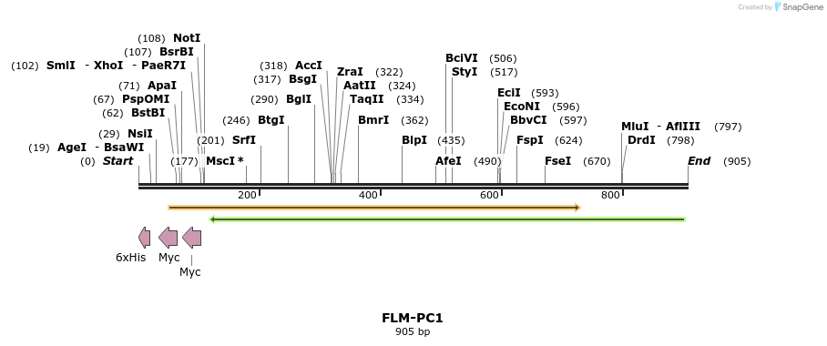 61345_map