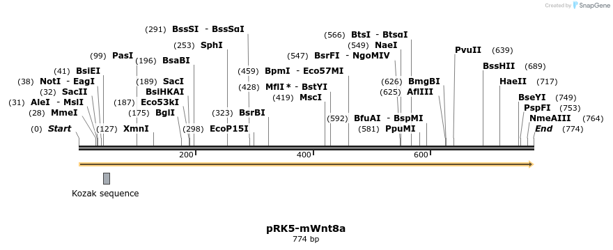 61350_map