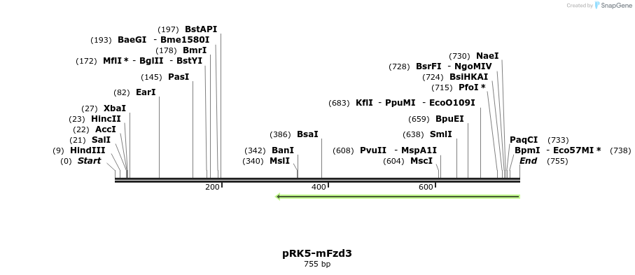 61352_map