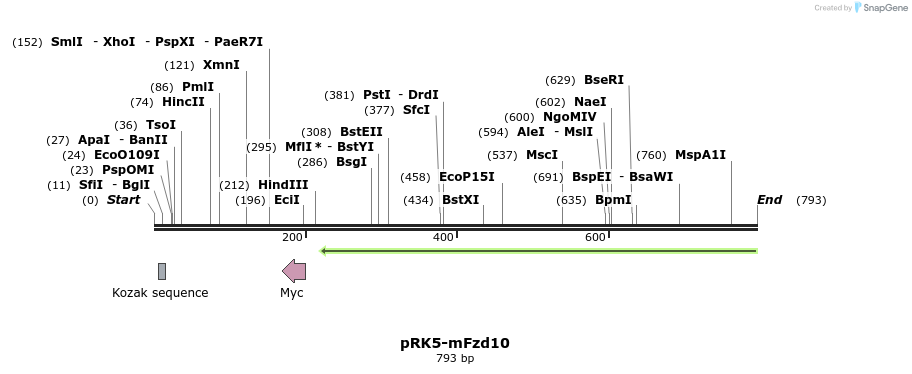 61356_map