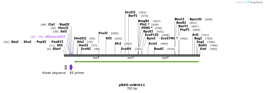 61360_map