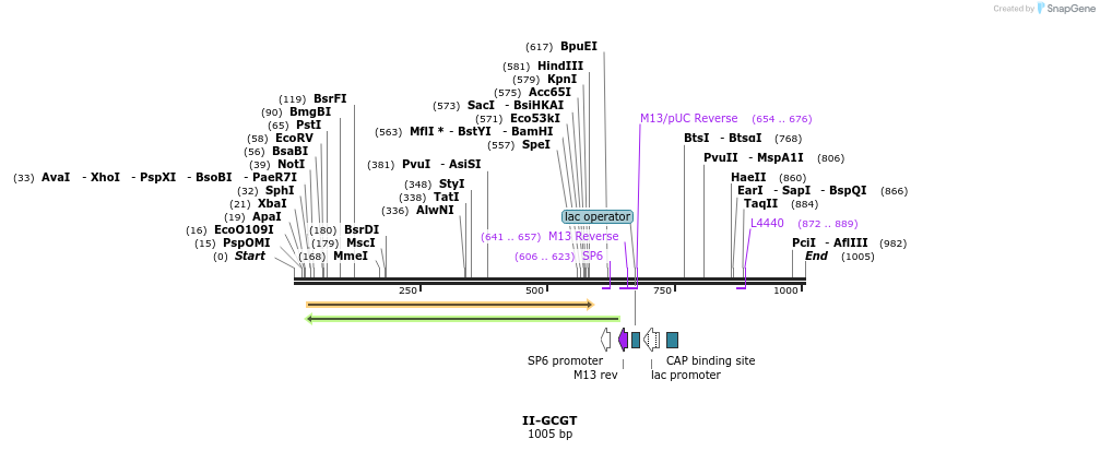 61362_map