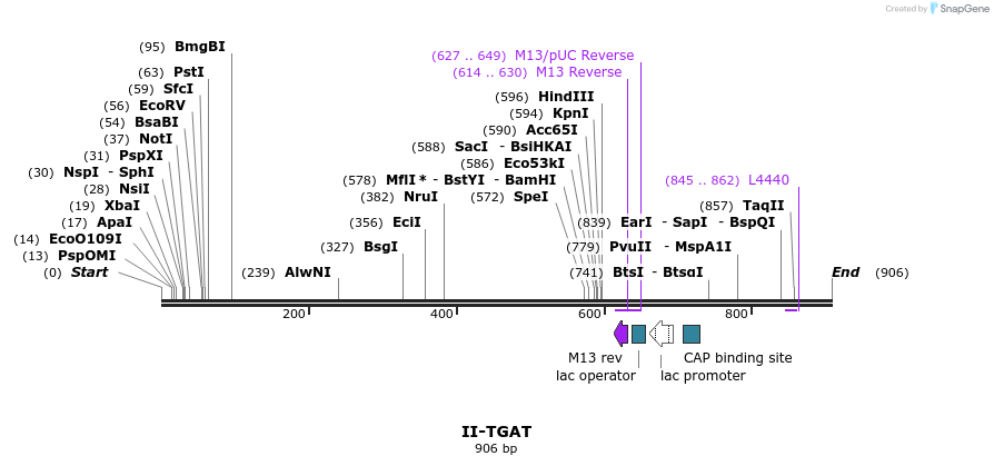61367_map