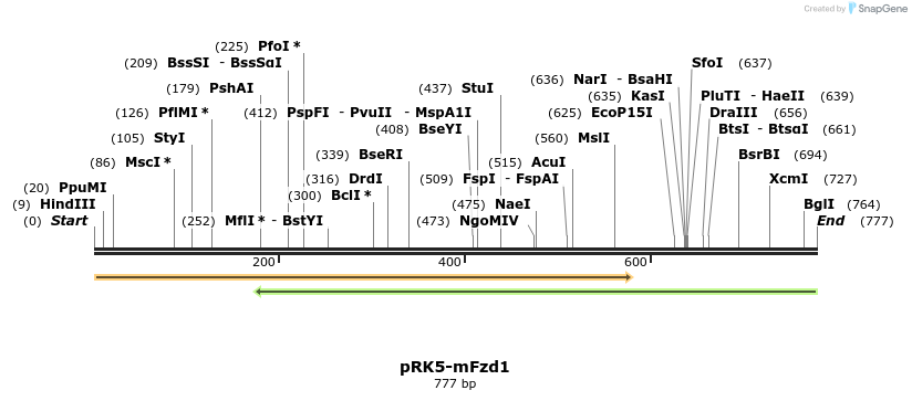 61368_map