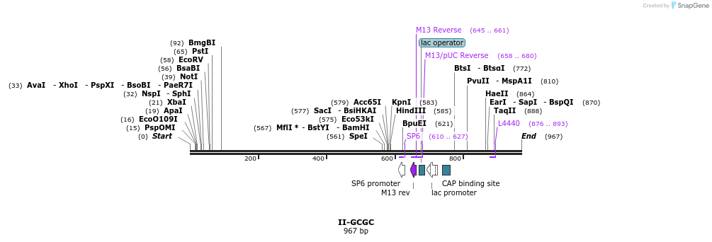 61371_map