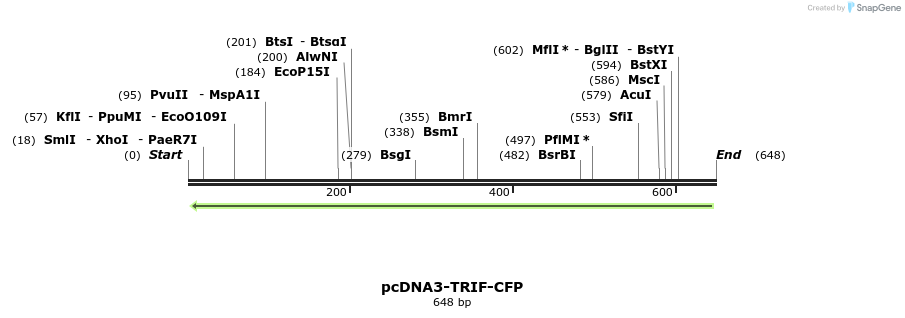 61427_map
