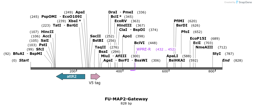 61429_map