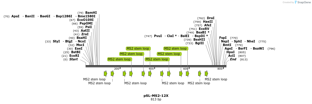 61430_map