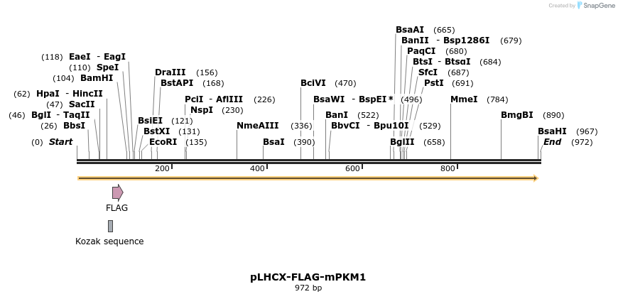 61433_map