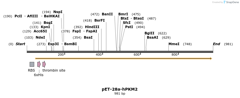 61434_map