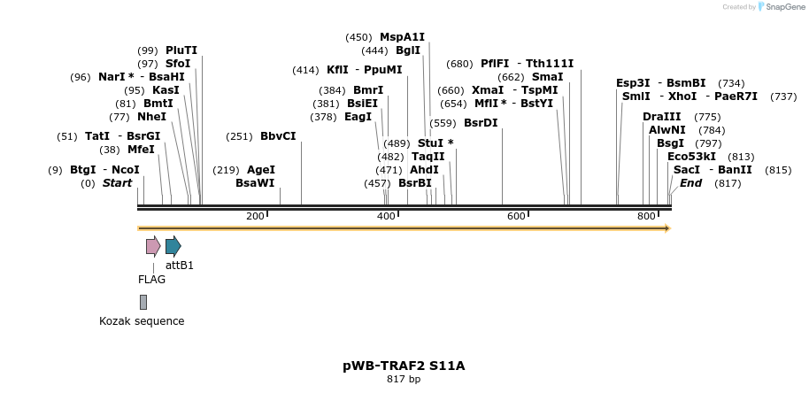 61436_map