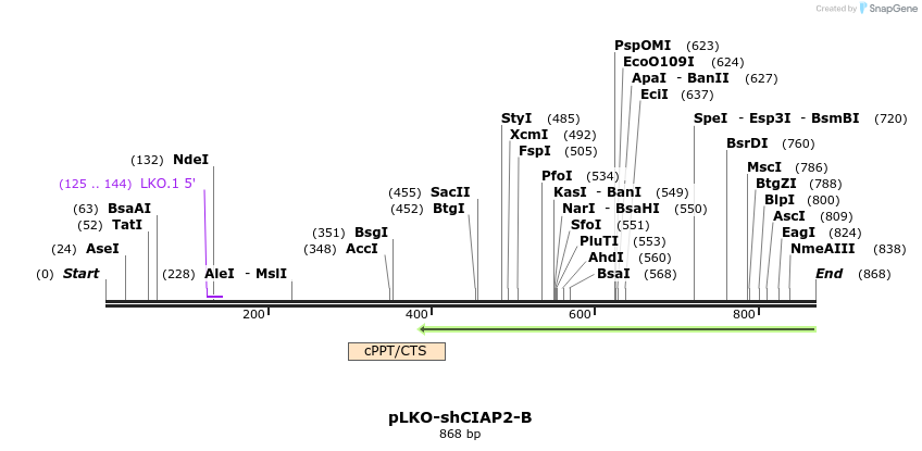61437_map