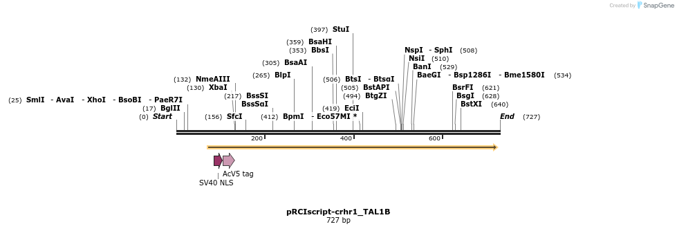 61439_map