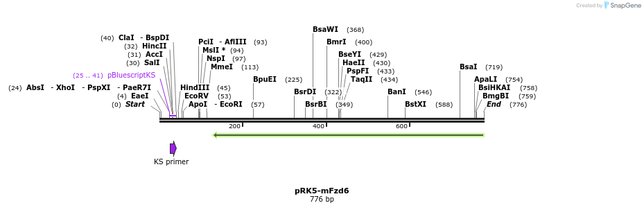 61443_map