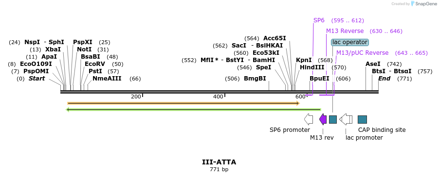 61454_map